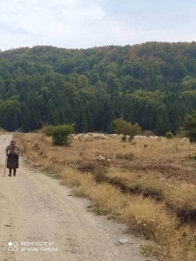 Vodenica Lug Villa Strmosten Екстериор снимка